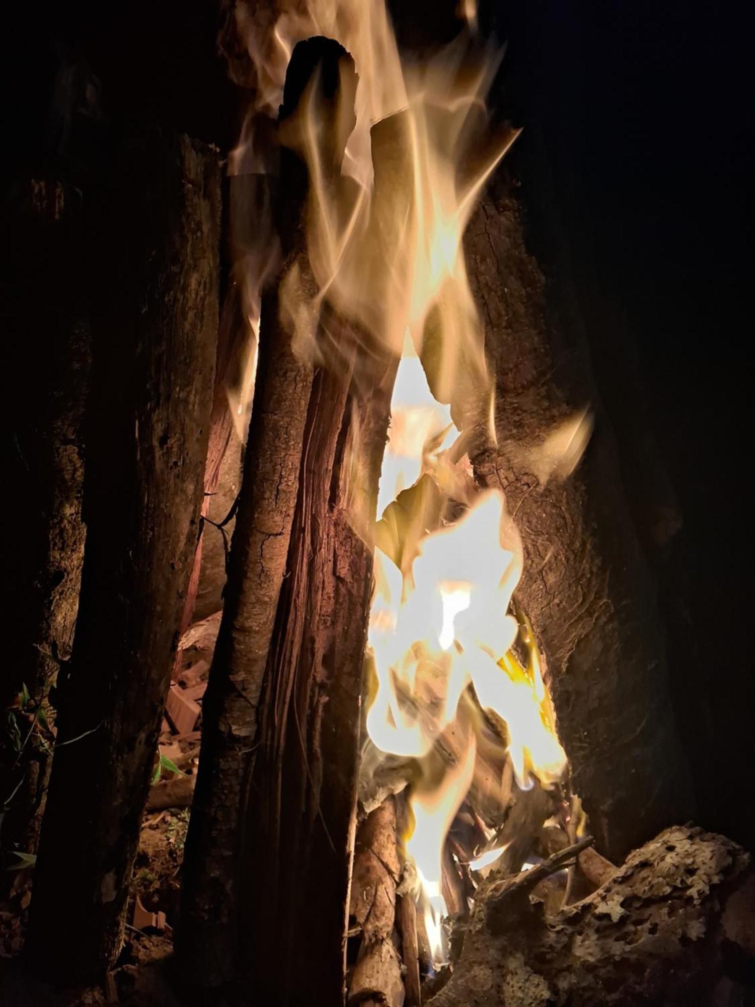 Coorg Teakwood Treasure Homestay 马迪凯里 外观 照片