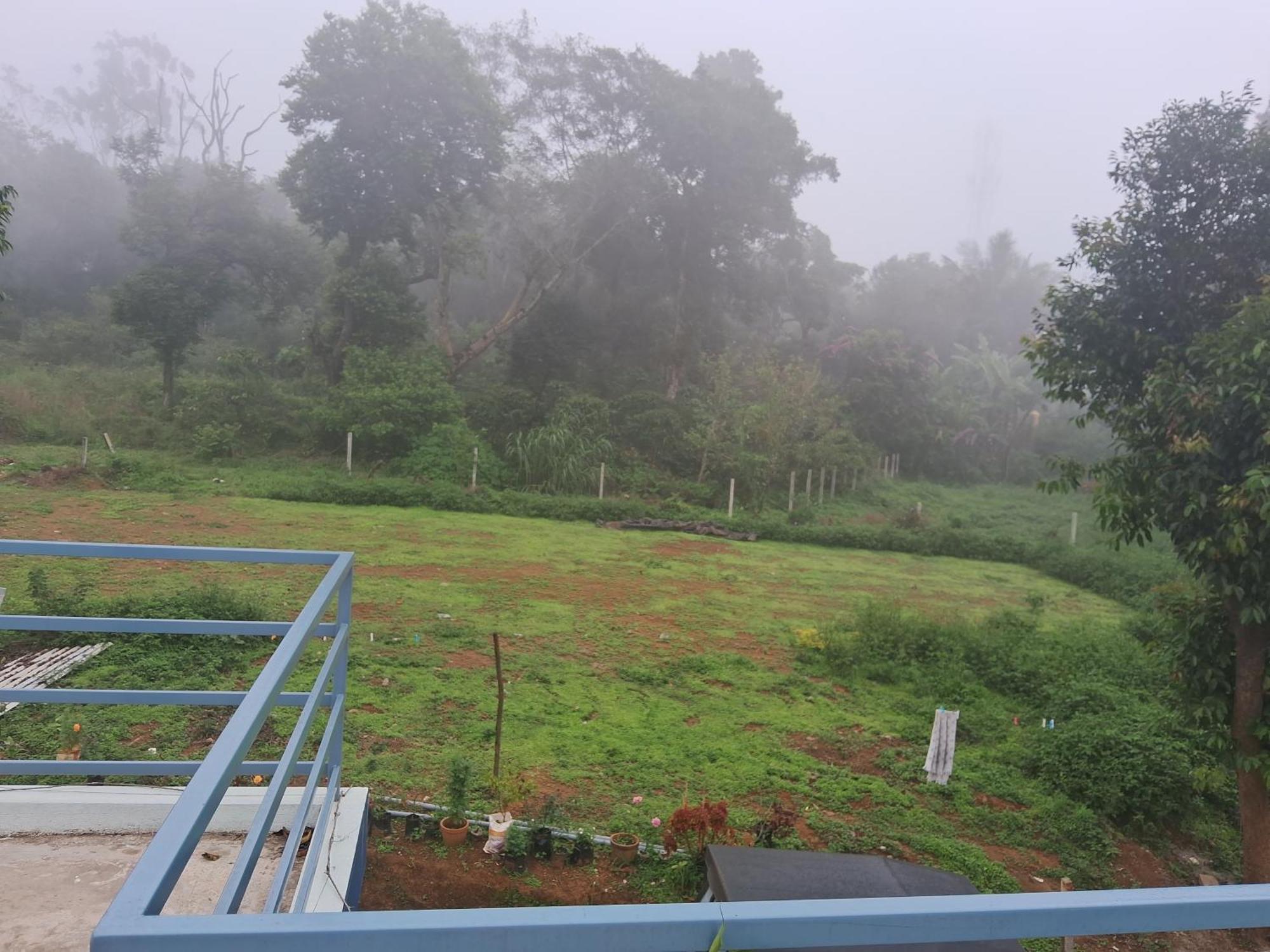 Coorg Teakwood Treasure Homestay 马迪凯里 外观 照片