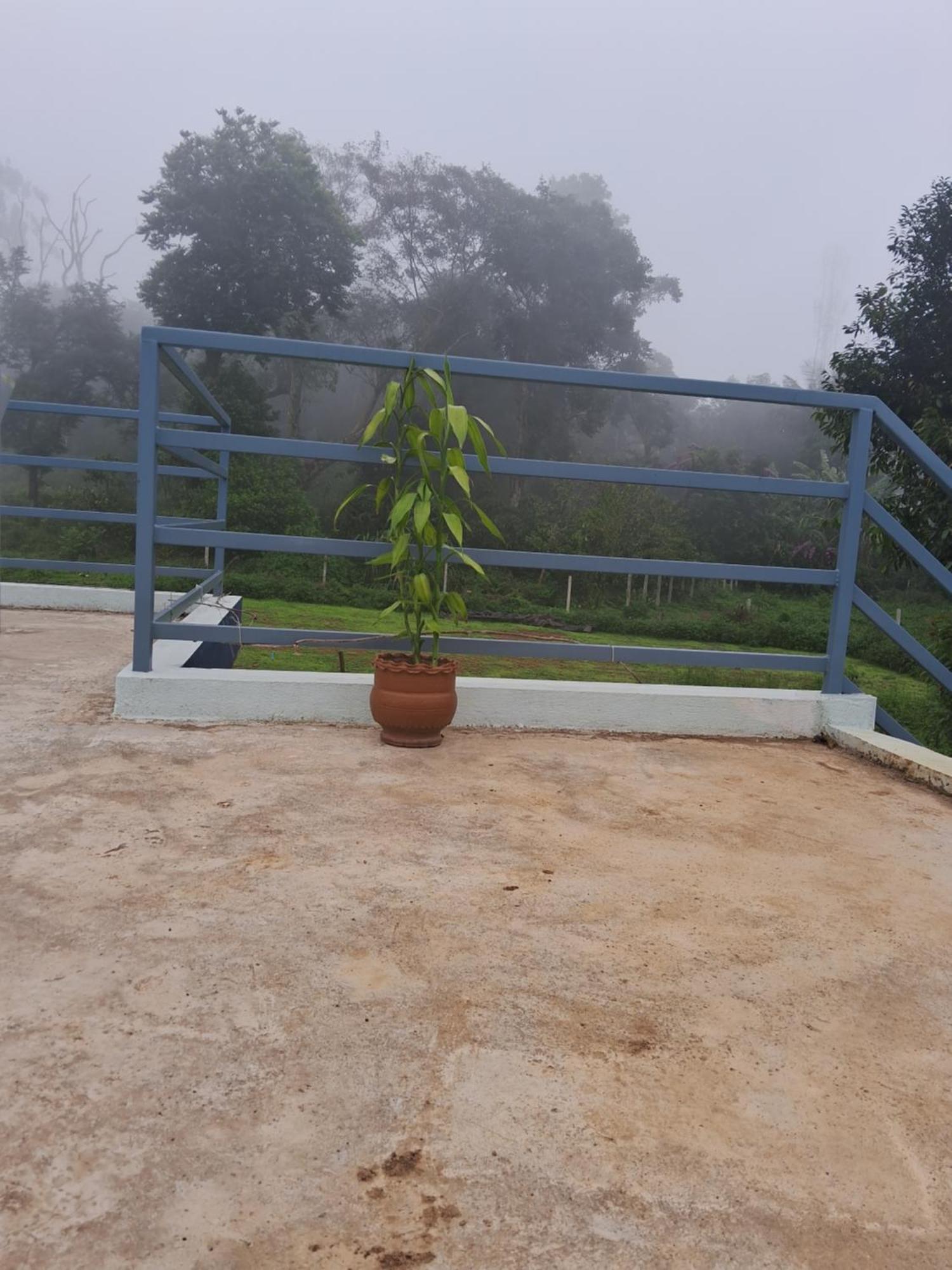 Coorg Teakwood Treasure Homestay 马迪凯里 外观 照片