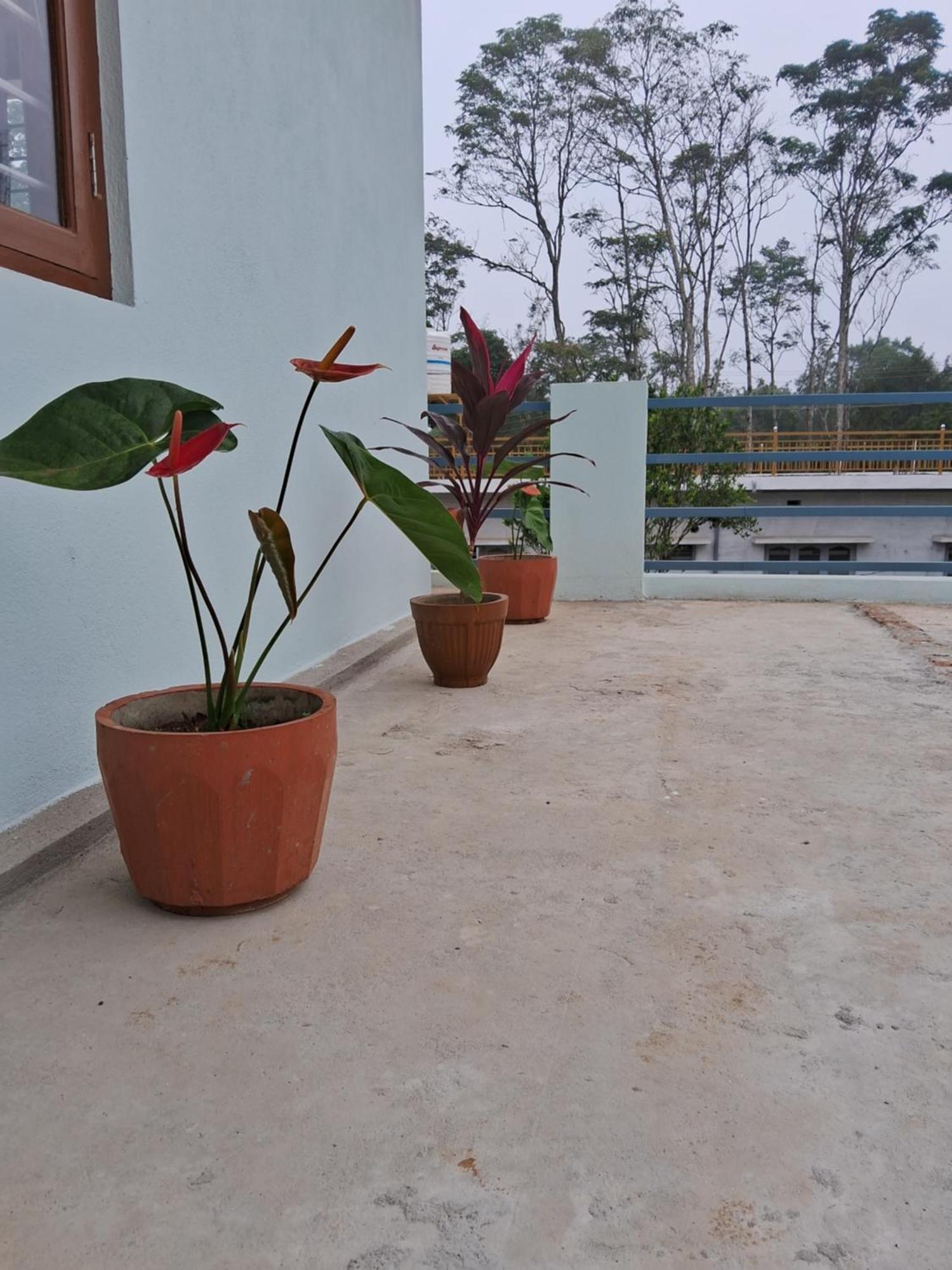 Coorg Teakwood Treasure Homestay 马迪凯里 外观 照片
